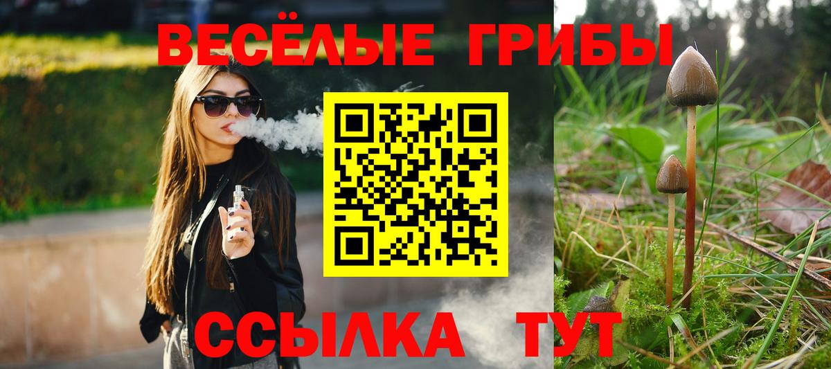 Галлюциногенные грибы Psilocybe Асино