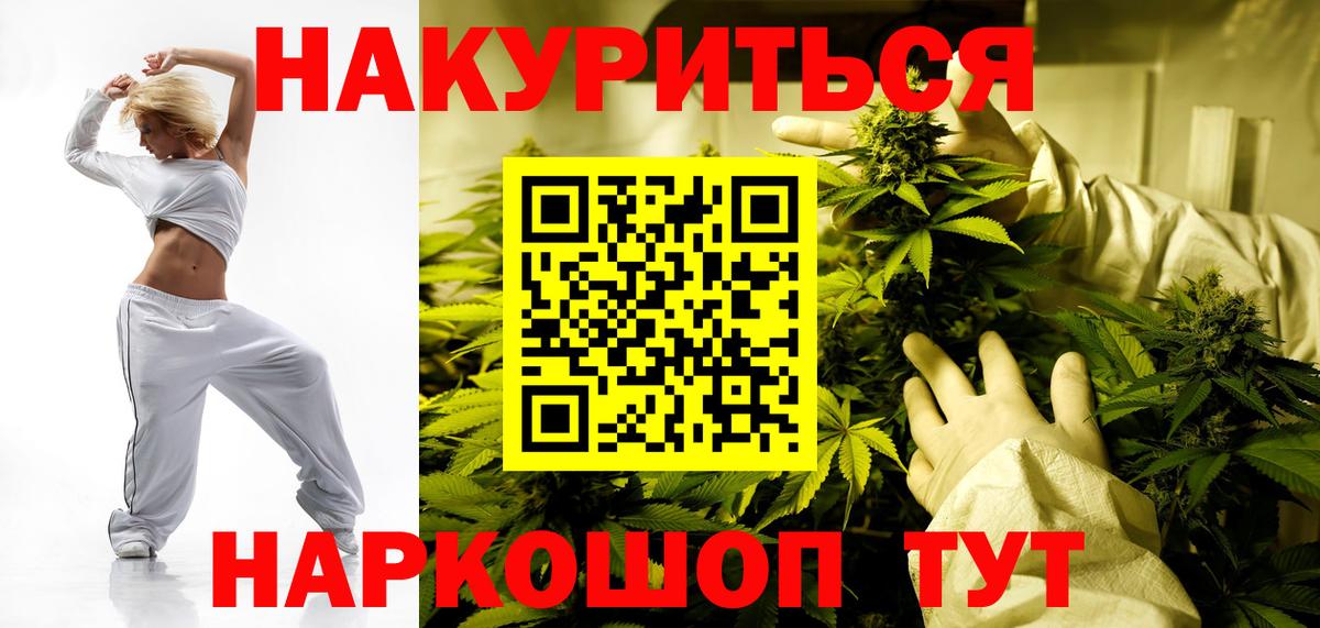 Каннабис планчик Асино